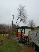 7e3fe465-3dc0-464f-9290-daa97cd0bcd3